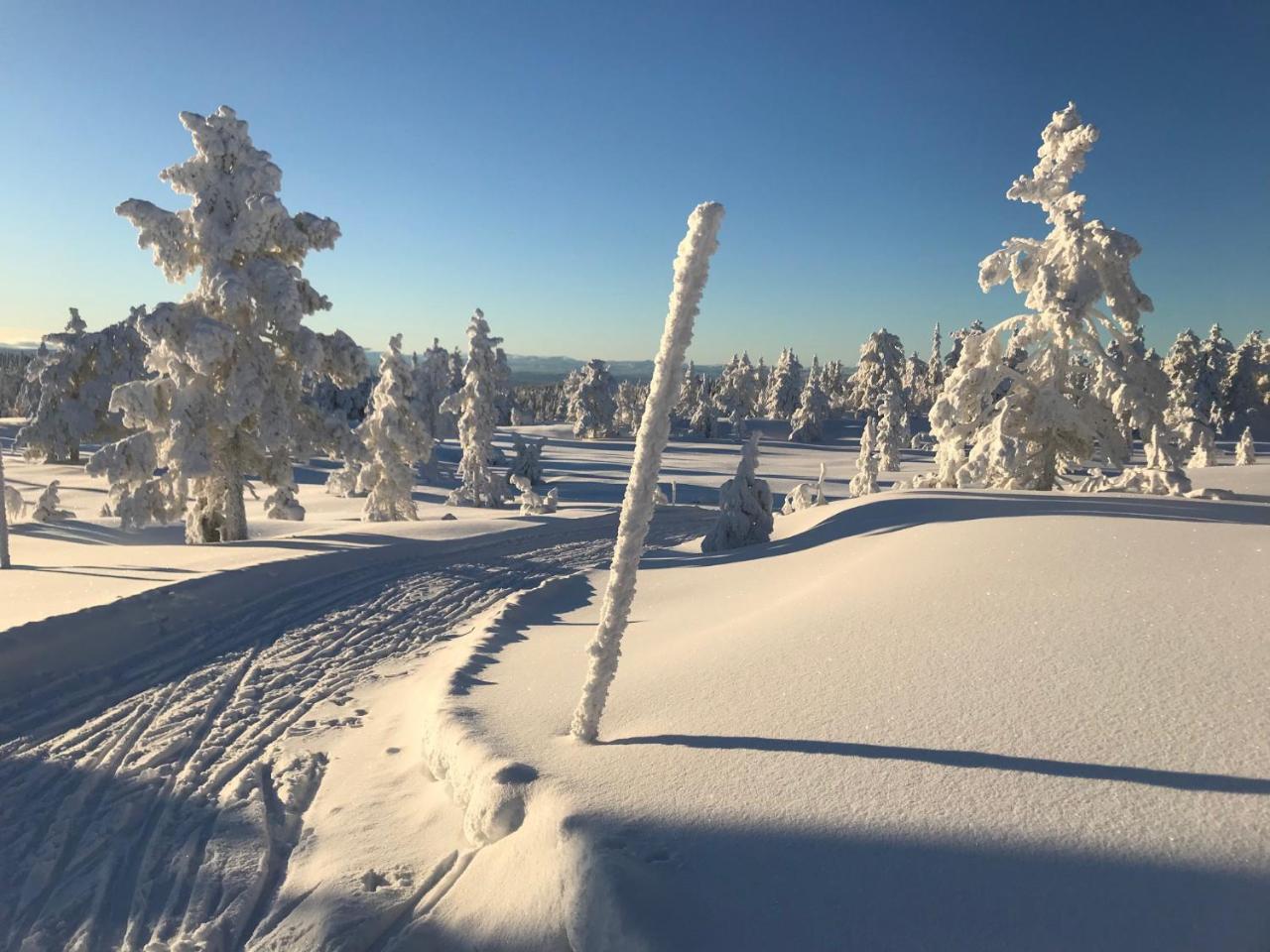 Tyrifjord Hotell Vikersund Exterior photo